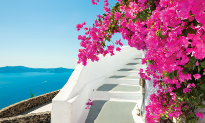 Avoya Advantage Exclusive – Distinctive Voyages Host, Private Welcome Reception PLUS Exclusive Shoreside Event!