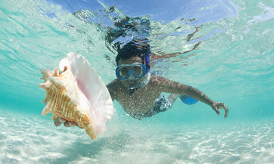 Avoya's Exclusive Deals with Norwegian Cruise Line!