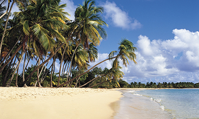 2026-2027 Tropics & Exotics Collection – Save up to 10%, Free Gratuities, Free Beverages, Unlimited WiFi, Free Specialty Dining PLUS More!